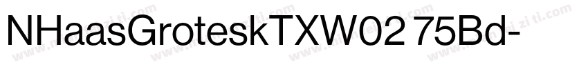 NHaasGroteskTXW02 75Bd字体转换